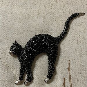 Elegant Black Cat Brooch from Zara